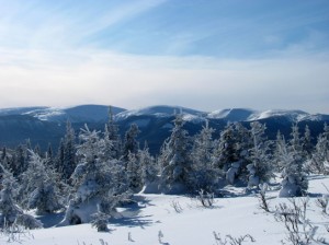 Chic-Chocs en Gaspésie